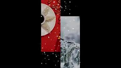 简约大气冬至祝福吃饺子团圆大雪视频海报视频的预览图